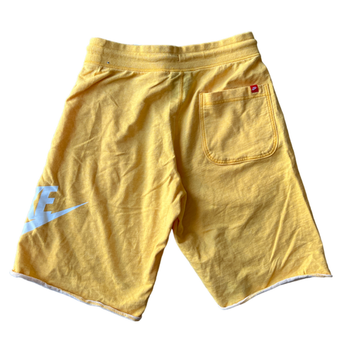 Thrifted Nike Shorts